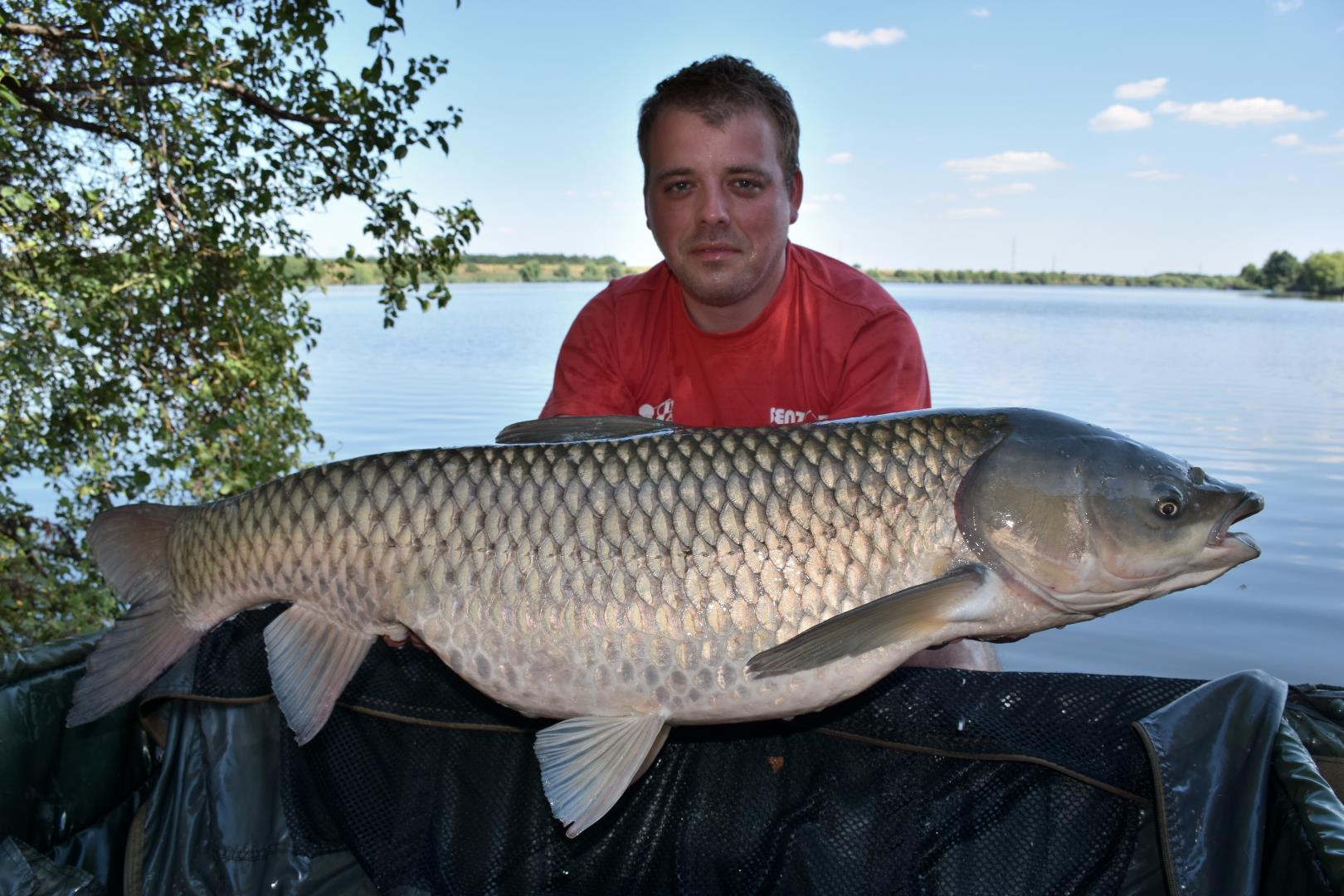 Tancabesti 13 - 15 aug. - 18